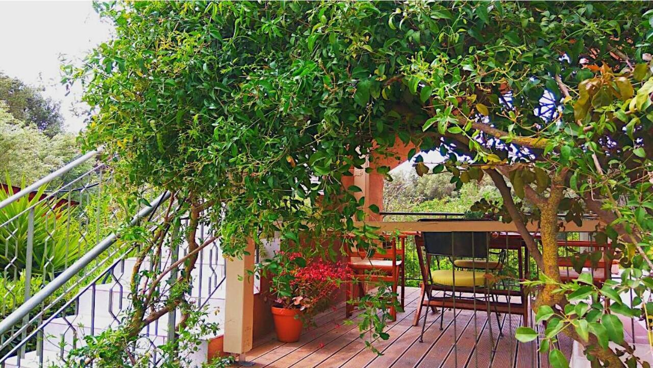 Kefalonia Apartments - Marias Studios - 2 Bedroom Apartment In Orchard, Spartia エクステリア 写真