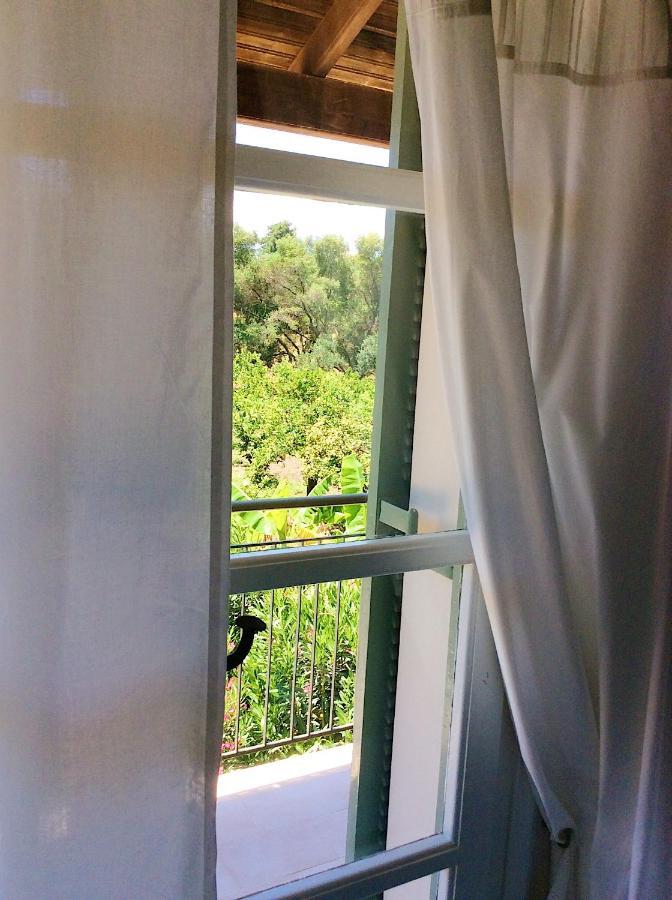Kefalonia Apartments - Marias Studios - 2 Bedroom Apartment In Orchard, Spartia エクステリア 写真